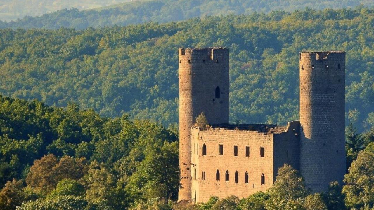 La Curiosite - Appartement 2 Chambres A Barr, Route Des Vins D'Alsace Eksteriør bilde