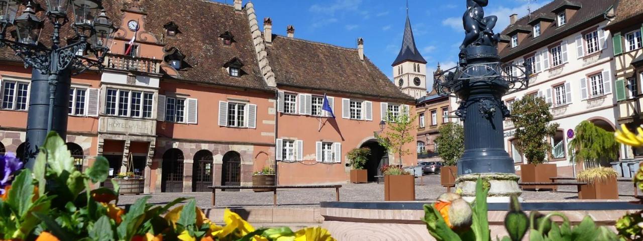 La Curiosite - Appartement 2 Chambres A Barr, Route Des Vins D'Alsace Eksteriør bilde