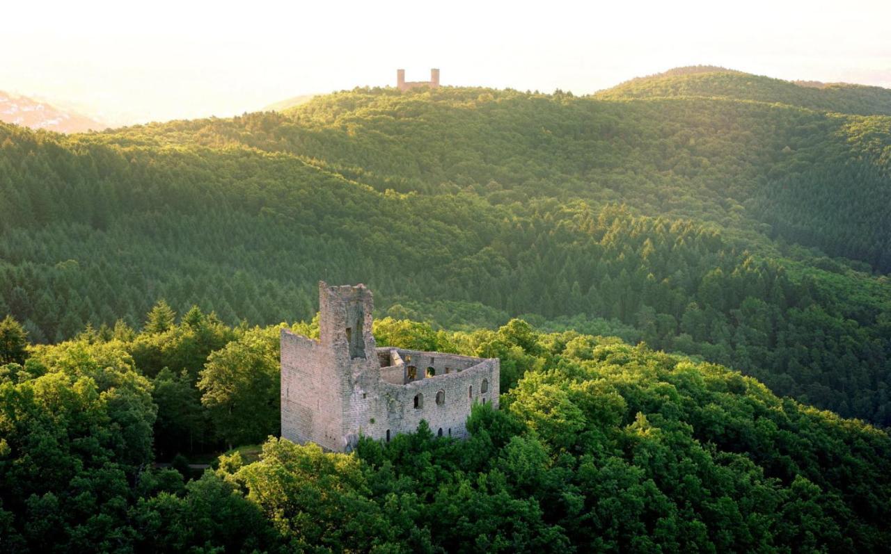 La Curiosite - Appartement 2 Chambres A Barr, Route Des Vins D'Alsace Eksteriør bilde
